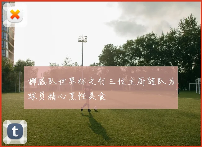 挪威队世界杯之行三位主厨随队为球员精心烹饪美食